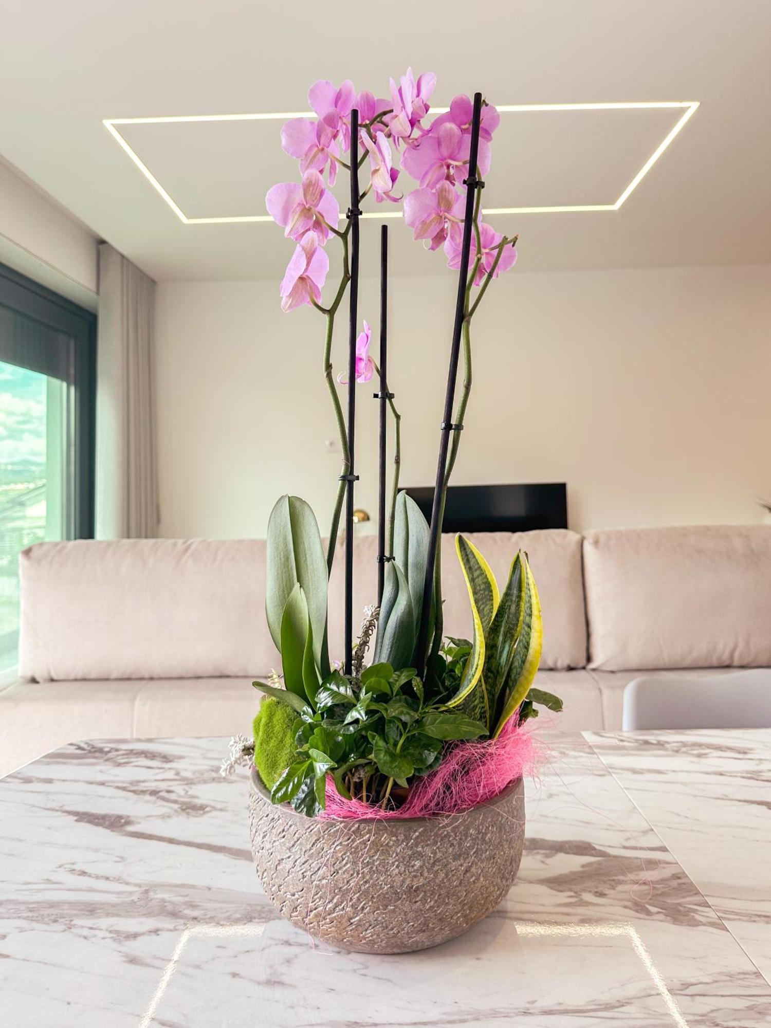 Flora Guest House Marco de Canavezes Kültér fotó